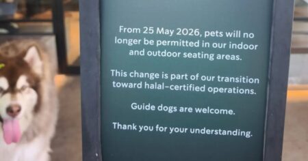 Pets no longer allowed? Starbucks’ notice at East Coast Park sparks debate