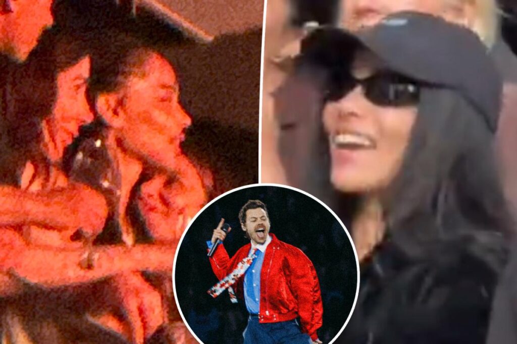 Zoë Kravitz displays engagement ring dancing at fiancé Harry Styles’ Amsterdam concert