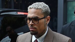 Chris Brown $90m lawsuit from housekeeper claiming she was mauled by his dog declared mistrial