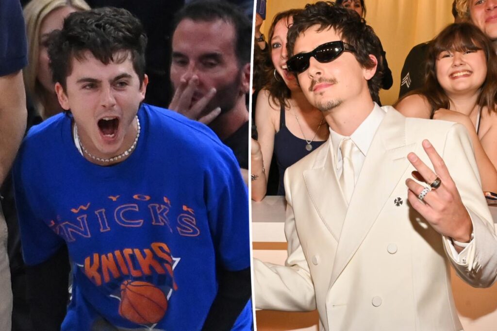 Timothée Chalamet shades the Oscars while celebrating Knicks’ NBA championship