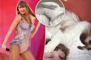 Score Prime Day deals on the Coop pillow Taylor Swift used on the Eras Tour