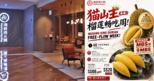 Free-flow Musang King durian for $20? Haidilao Marina Bay Sands launches week-long deal, Lifestyle News