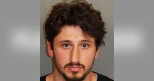 Alabama Man, 21, Arrested After He Allegedly Threw 5 Kittens Out of His Moving Car on Busy Highway