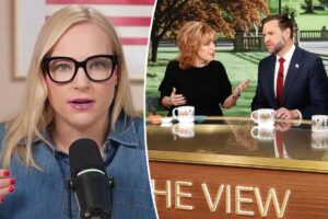 Meghan McCain bulldozes ‘s–tty’ ‘View’ co-hosts over ‘undisciplined’ JD Vance interview