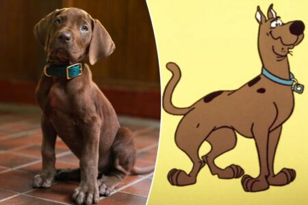 Casting a real dog as Scooby Doo is a sign of the apocalypse