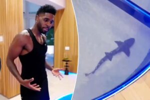 Jason Derulo faces backlash over $1M shark tank in his California home