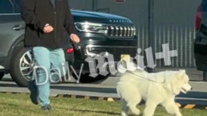 Revealed: Taylor and Travis have a SECRET DOG. All the heart-melting details, including how she surprised new husband… and the chaos caused in their home