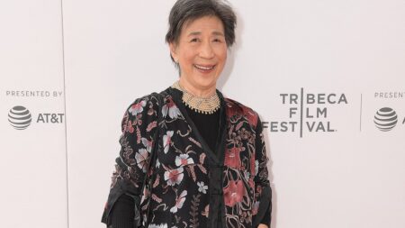 Marvel star Wai Ching Ho dead at age 82: Castmates pay tribute to the ‘stellar’ Hustlers and Daredevil actress