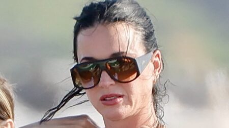 Katy Perry puts on a racy show for shirtless Justin Trudeau in a busty brown bikini as they continue PDA-packed holiday