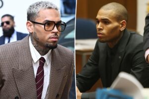 Chris Brown to pay $13 million after 200-pound dog mauled housekeeper