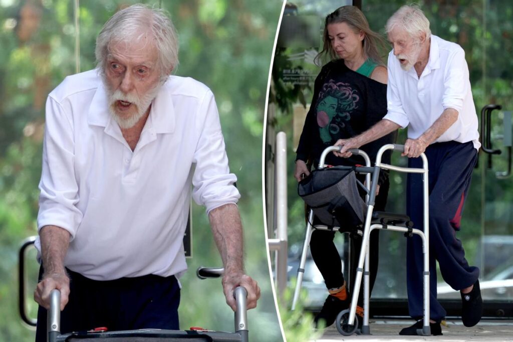Dick Van Dyke, 100, uses walker during rare outing with wife Arlene, 54