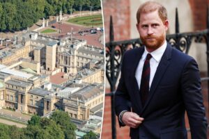 Prince Harry’s Buckingham Palace invite ‘withdrawn at the last moment’