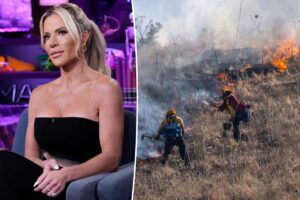 ‘Real Housewives’ star reveals son was involved in starting a wildfire