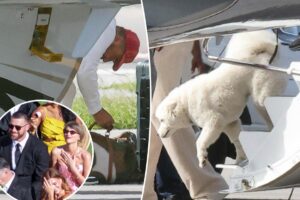 Taylor Swift and Travis Kelce’s mystery dog makes big debut while touching down in Florida