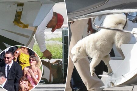 Taylor Swift and Travis Kelce’s mystery dog makes big debut while touching down in Florida