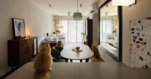 Designing with paws in mind: Why more Singaporeans are building homes around their pets, Lifestyle News