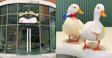 Play with ducks while sipping on matcha lattes at this new cafe in JB