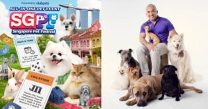 Dog whisperer Cesar Millan to host ‘private workshops’ with pet owners as part of Singapore Pet Festival 2026, Lifestyle News