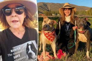 ‘Exorcist’ star Linda Blair speaks out after cops search home over reported 100-dog kennel operation