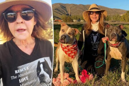 ‘Exorcist’ star Linda Blair speaks out after cops search home over reported 100-dog kennel operation