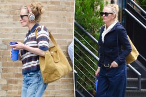 Julia Roberts carried the Alex Mill canvas tote stars love