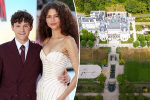 Zendaya and Tom Holland have private wedding celebration at sprawling UK country estate