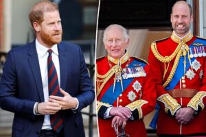 Prince Harry’s UK return fueled by inheritance fears as Prince William’s reign looms