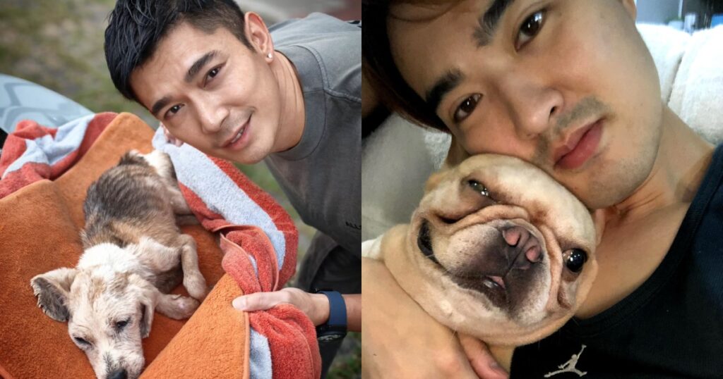 Goodbye furever: Elvin Ng ‘guilty’ having to euthanise pet dog, Lee Teng mourns his that died while he was overseas