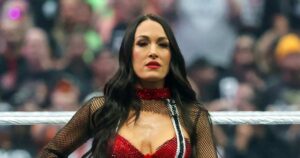 Brie Bella Addresses Shoulder Injury at WWE SummerSlam: ‘Don’t Let Broken Bones Stop Us’