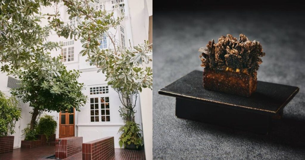 ‘A new chapter begins now’: 3-Michelin-starred Restaurant Zen reopens on Aug 25, Lifestyle News