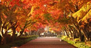 A guide to Tochigi Prefecture, Japan: Places to visit and things to do