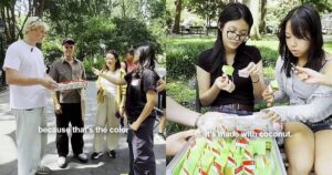 ‘Pandan is like Southeast Asian vanilla’: New Yorkers rave over pandan chiffon cake with kaya after taste test, Lifestyle News