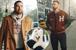 Travis Kelce and Taylor Swift’s dog makes fashion debut alongside tight end in Tommy Hilfiger campaign