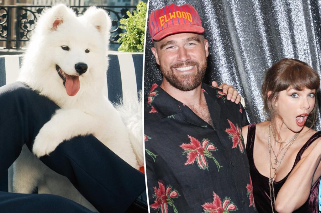 Taylor Swift and Travis Kelce’s dog’s name finally revealed