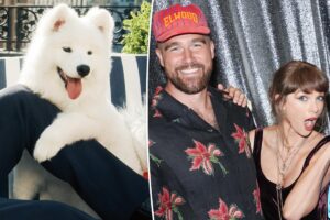 Taylor Swift and Travis Kelce’s dog’s name finally revealed
