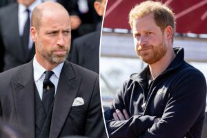 Prince William ‘will be watching’ estranged brother Harry ‘closely’ following UK return