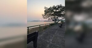 ‘Singapore’s version of Sun Moon Lake’: Scenic waterfront bus stop got netizens guessing its location, Lifestyle News
