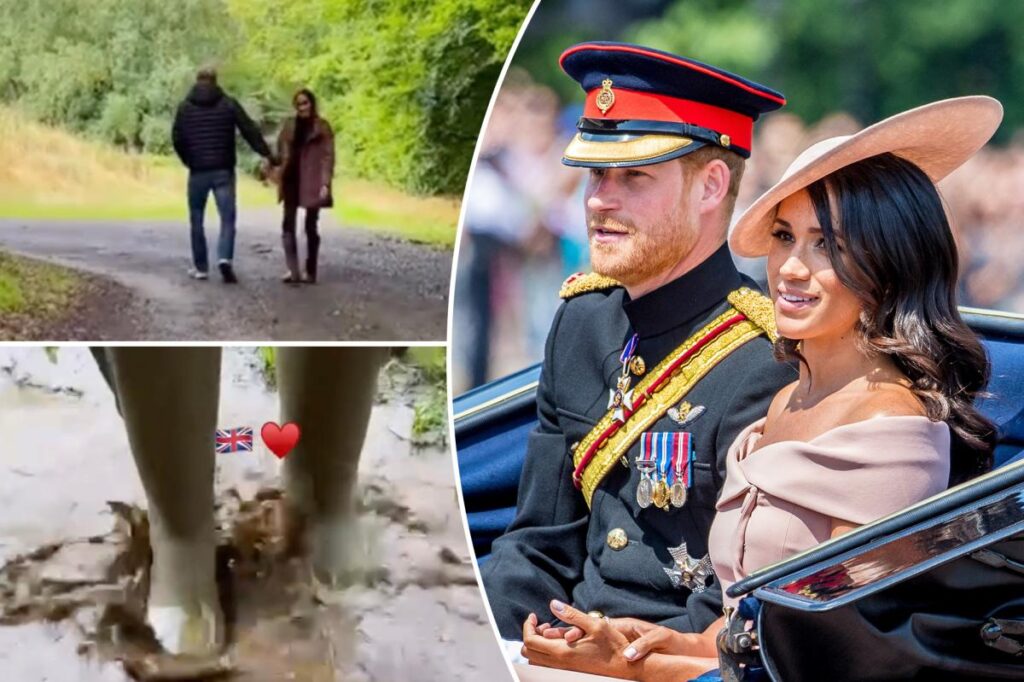 Meghan Markle and Prince Harry’s ‘hypocrisy’ exposed after posting cheery, ‘hyper-curated’ social media video