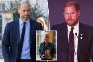 Prince Harry and Prince William dodge questions about Charles Spencer’s Princess Diana memoir