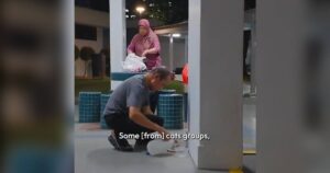 ‘80% from our own money’: This couple has been feeding stray cats in Bedok for 16 years, Lifestyle News