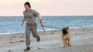 ‘I Play Rocky’ Review: Anthony Ippolito Is an Endearing Pre-Stardom Sylvester Stallone in Peter Farrelly’s Crowd-Pleasing Making-Of Drama