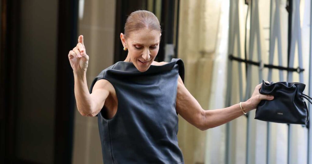 Celine Dion’s $2,600 ‘Little Black Bag’ Is a Fall Outfit Maker — We Found a Twin for $28