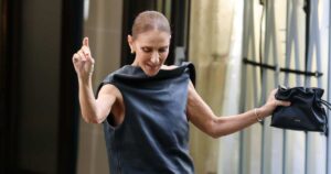 Celine Dion’s $2,600 ‘Little Black Bag’ Is a Fall Outfit Maker — We Found a Twin for $28