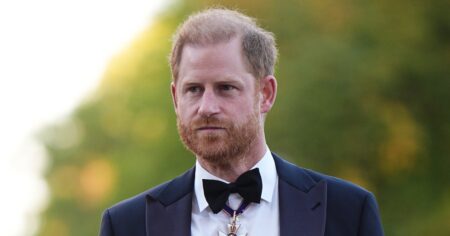 Princess Diana’s Brother Shares How Nephew Harry’s Grief Likely Affected Family Drama