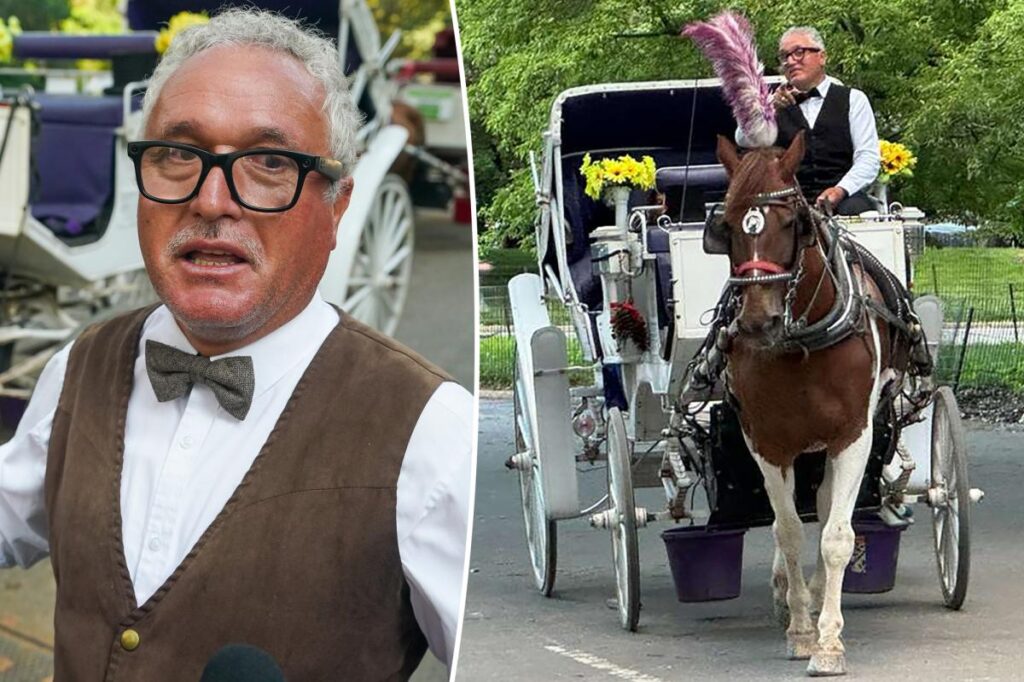 Carriage horse’s owners ready to sue Central Park over deadly yew poisoning