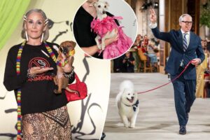 Posh dogs take over the runway at NYFW