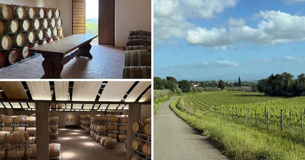I love wine so much, I planned a Tuscany trip around it, Lifestyle News